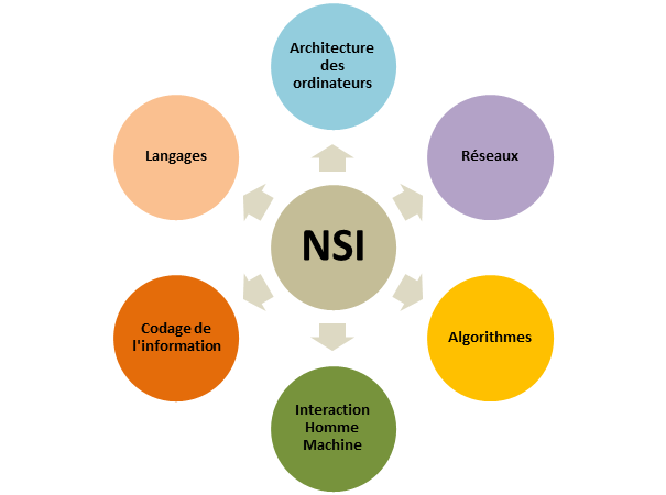 Logo NSI